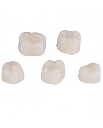 50Pcs/Box Dental Back Teeth Temporary Realistic Oral Care Resin Crown Molar Teeth